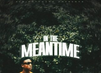 A man standing in front of trees with the words " in the meantime ".