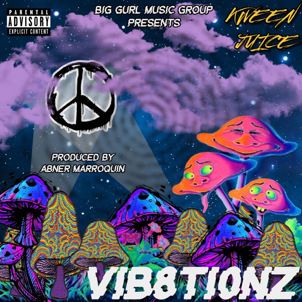A picture of the cover art for vibetionz.