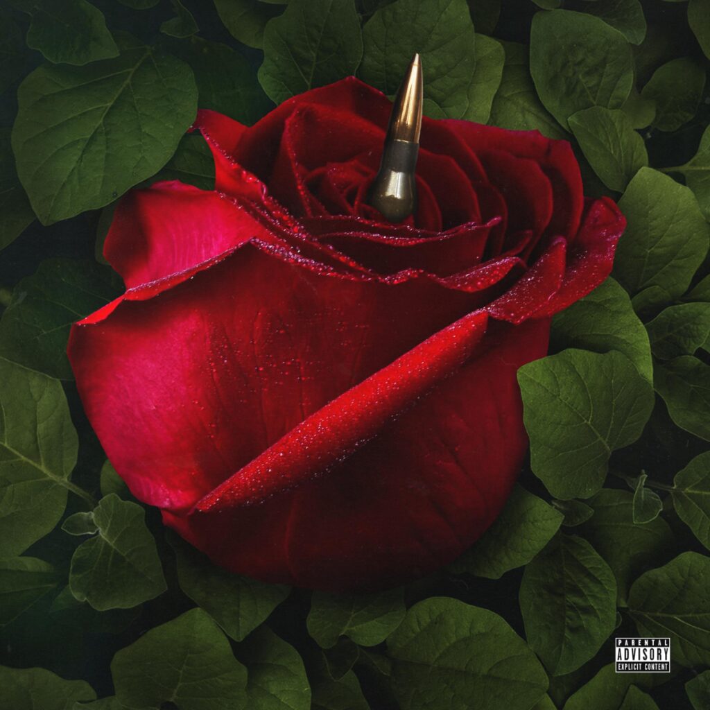 A red rose with a bullet in the center.