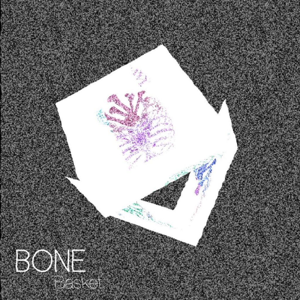 A picture of the cover art for bone.