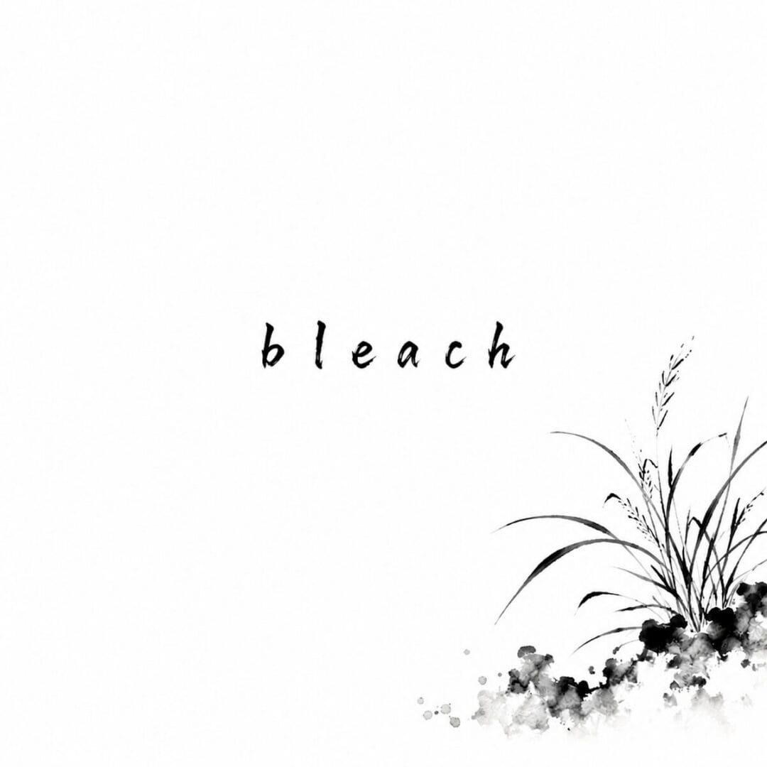 Bleach